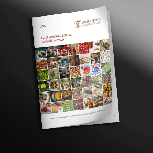 Eylül Ayı Özel Bülten 2025