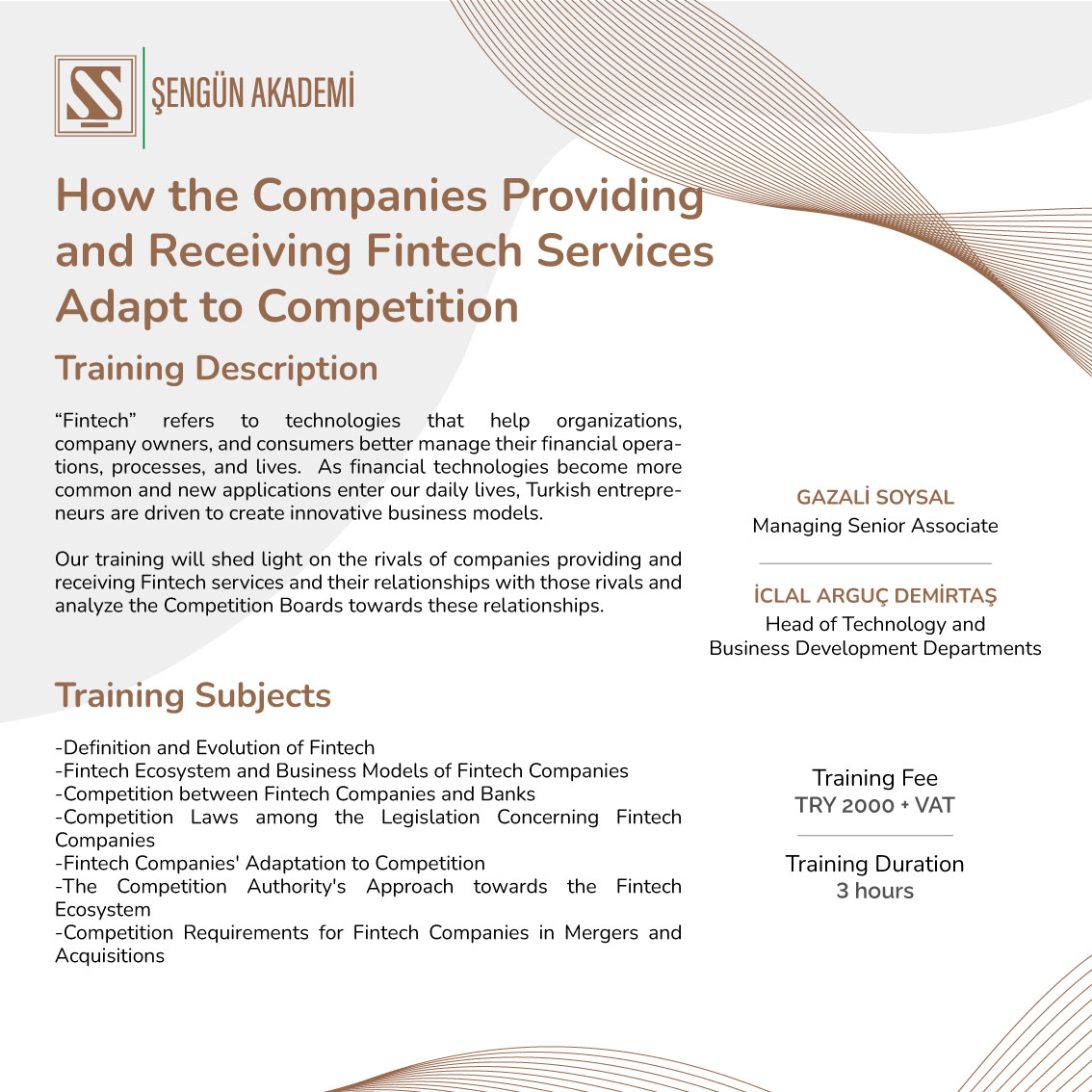 How the Companies Providing and Receiving Fintech Services Adapt to Competition