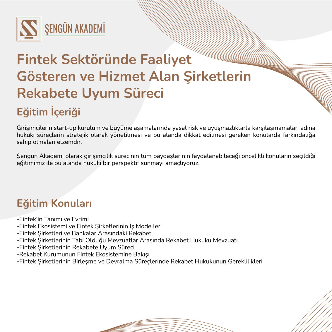 Fintek Sektöründe Faaliyet Gösteren ve Hizmet Alan Şirketlerin Rekabete Uyum Süreci